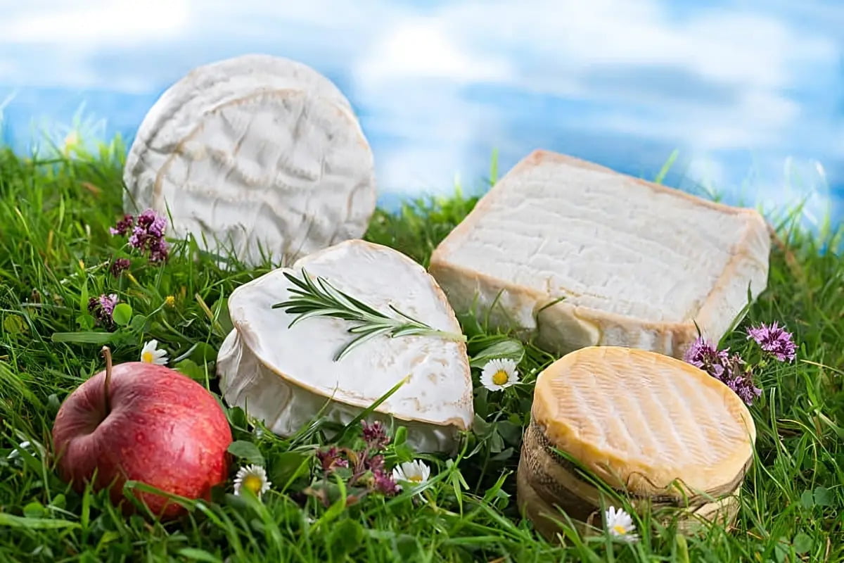 les fromages normands - specialites de la region