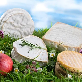 Les fromages normands